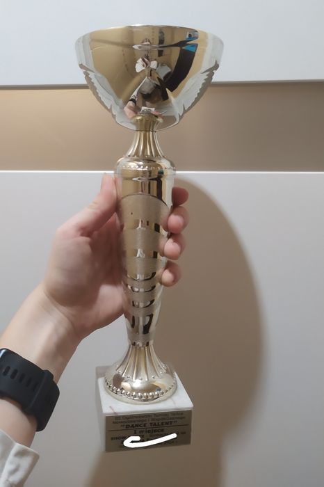 Puchar, statuetka, nagroda