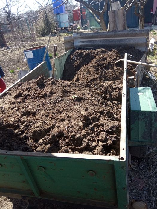 Продам перегной каровячий