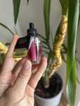 Wkład do wtyczki zapachowej Bath and Body Works Frosted Cranberry