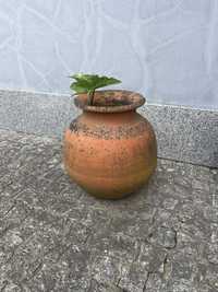 Vaso de jardim usado em bom estado