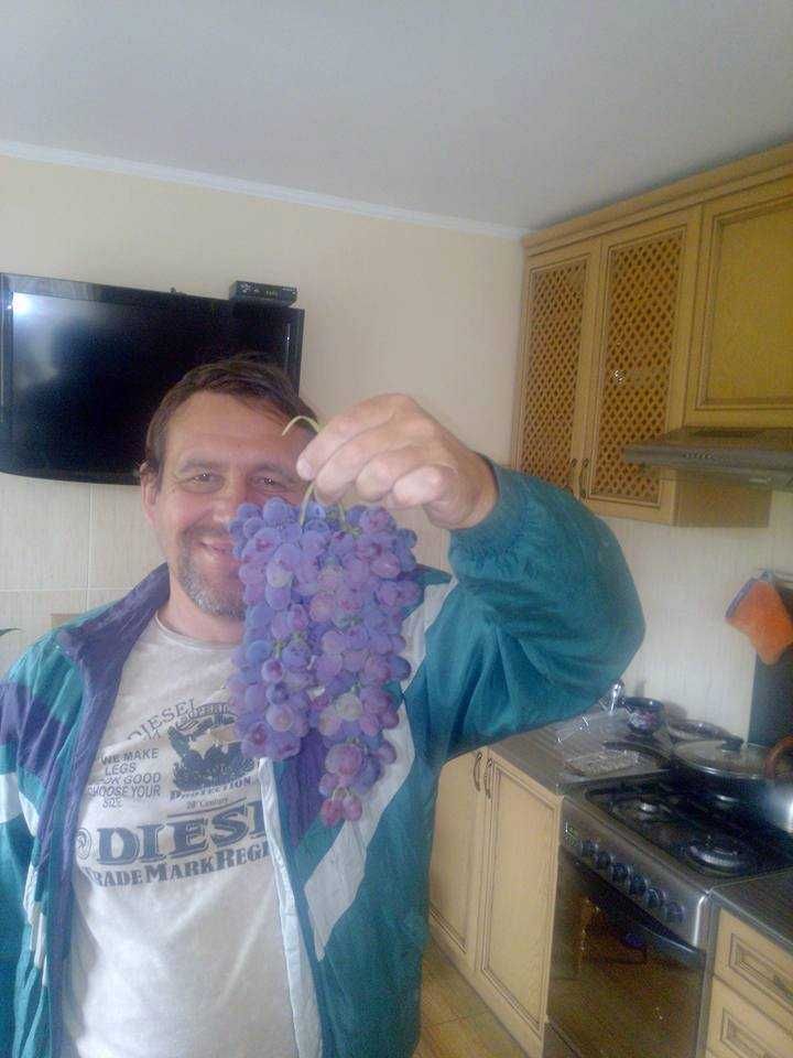 Продаю саджанці винограду