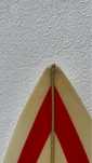 Prancha Surf Ricardo Dinis