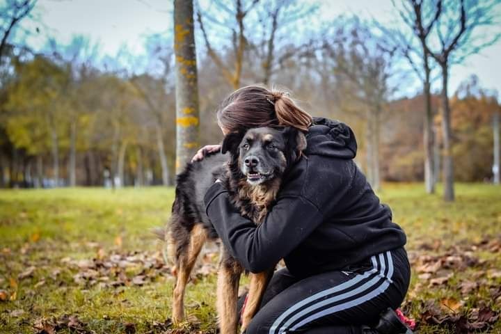 Bezproblemowy Clyde czeka za kratami na swojego człowieka! Adoptuj!