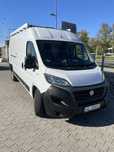Wypozyczalnia busów dostawczych, Ducato L4h2, Master L3h2, Movano,