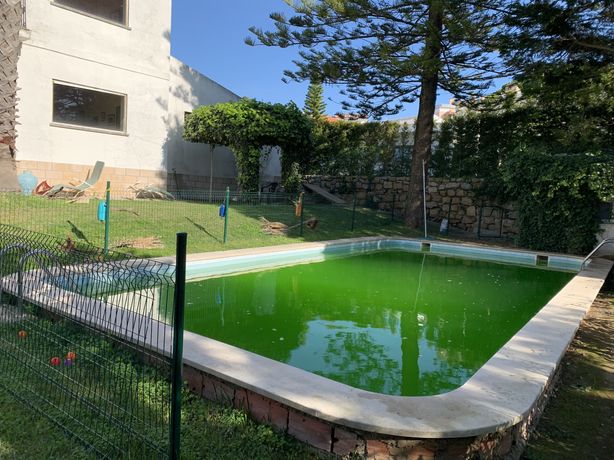 Manutençao /contruçao de jardins  e piscinas