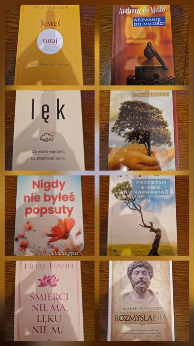Zestaw 24 książek rozwój osobisty