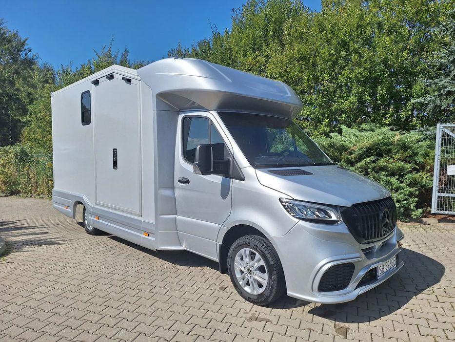 Mercedes-Benz Sprinter 319  Automat, Koniowóz z wyposażeniem