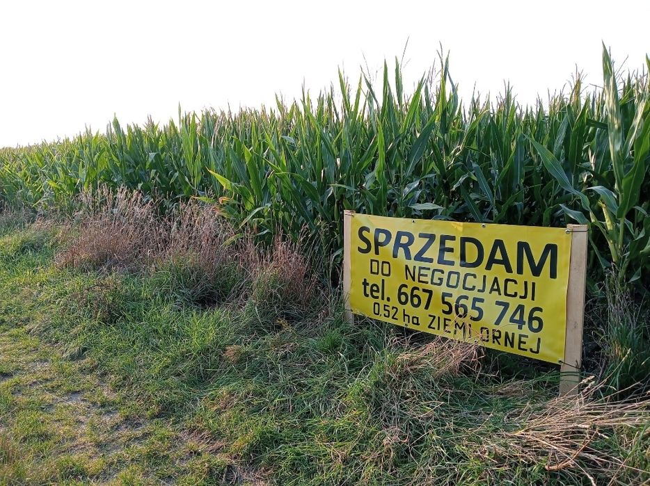 Sprzedam działkę, ziemia rolna