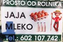 Mleko prosto od rolnika