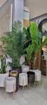 Planta Areca e Bananeira Artificial Real Feel - Toque natural -  By Ar