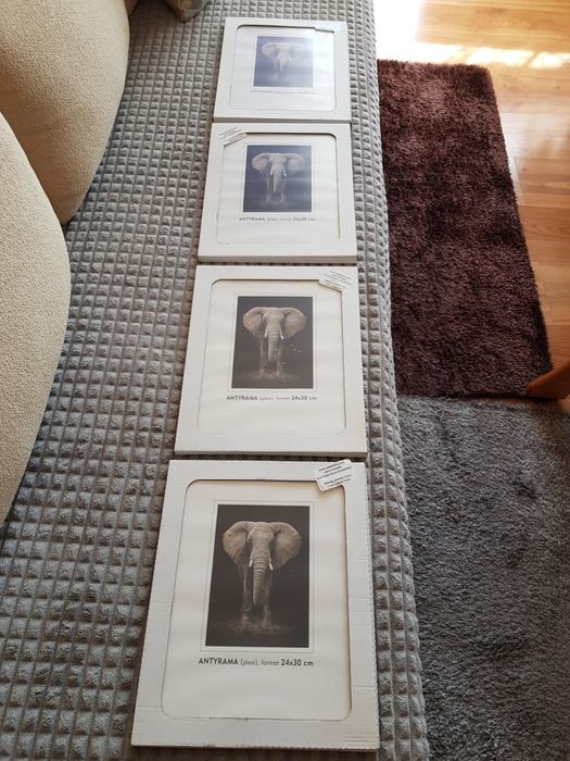 4 antryramy 24x30