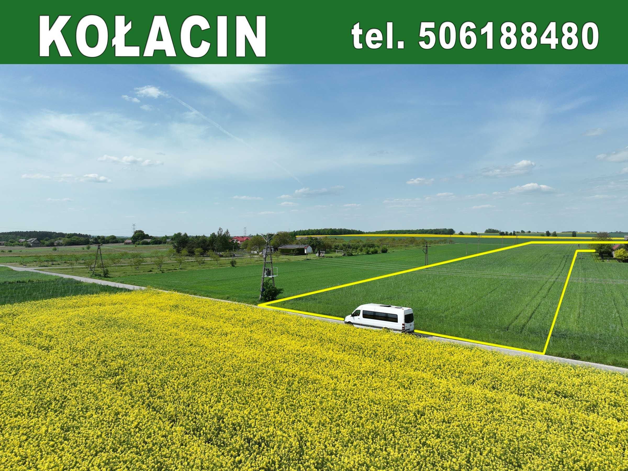 Na sprzedaż działka rolno-siedliskowa 2,4 ha – Kołacin, gm. Dmosin!