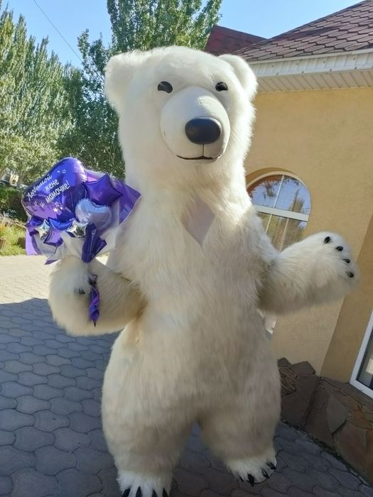 Белый Мишка, медведь, поздравление мишки,подарок