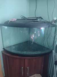 Terrarium 200 l w raz z gadzetami