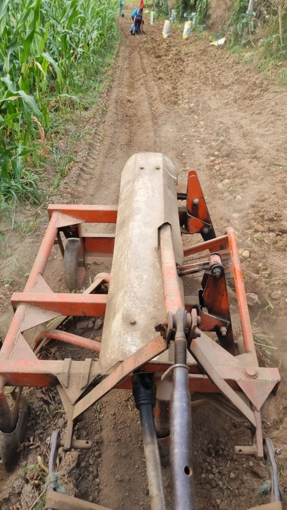 Prestação de serviços agriculas