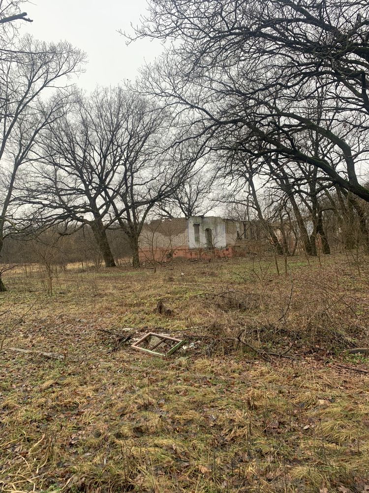 Пионерский лагерь Піонерський табор