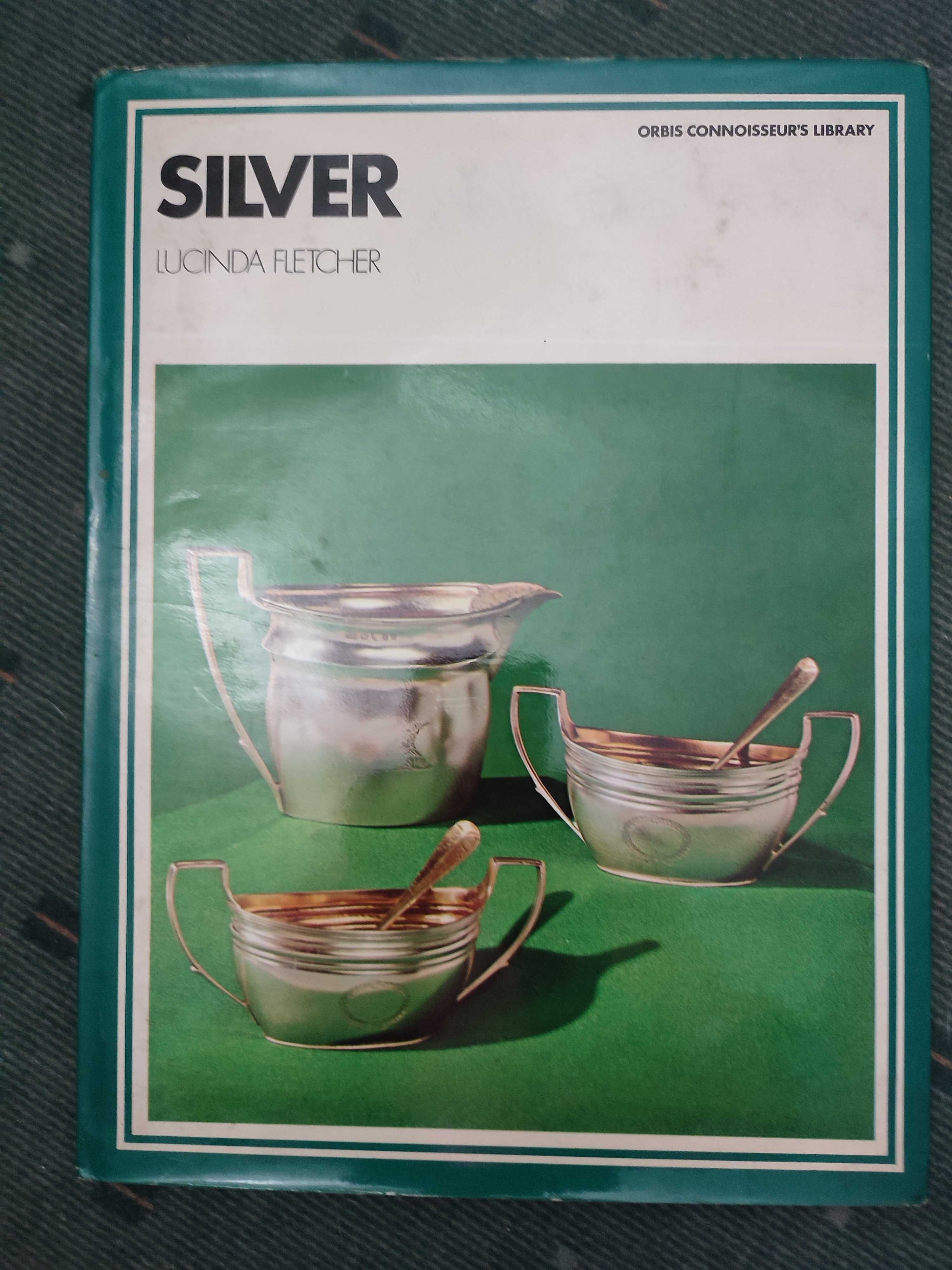 Silver - Lucinda Fletcher