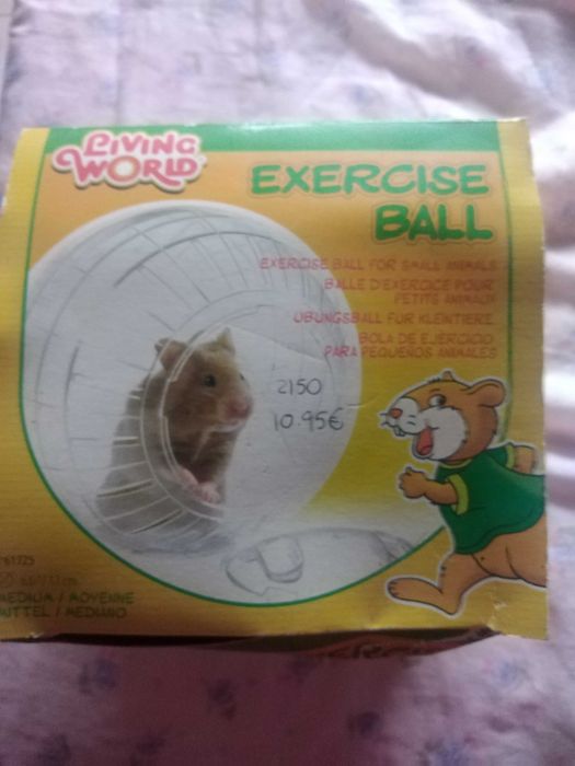 Bola de exercício para pequenos roedores