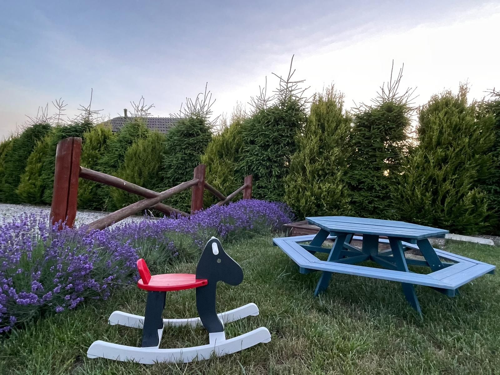 Mazury domek  nad jeziorem jacuzzi ,sauna, 11 osób, Mikoł