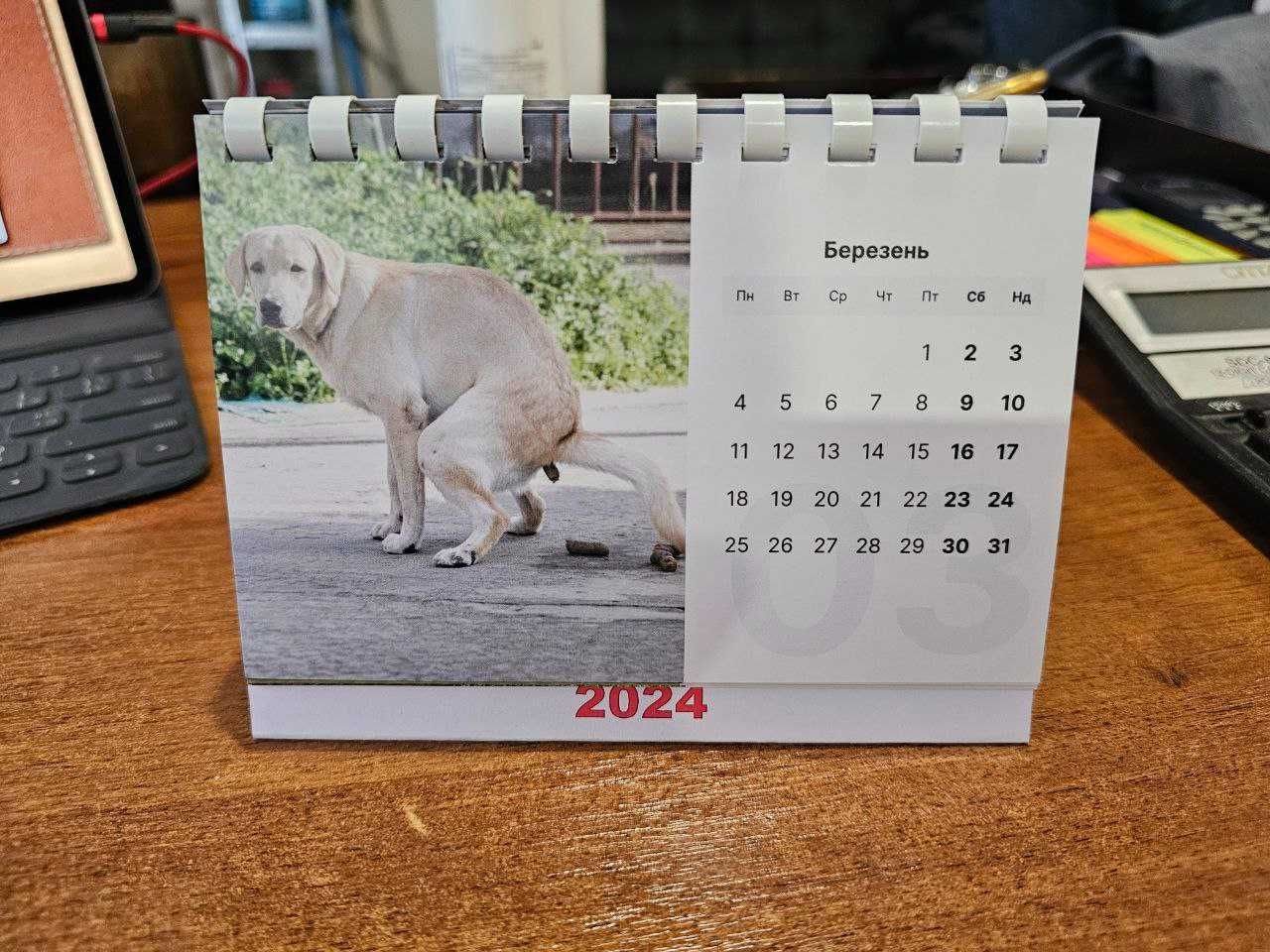 Календар на 2024-й рік "С***ЩІ СОБАКИ"