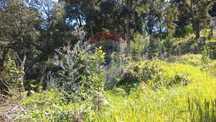 Terreno  para venda