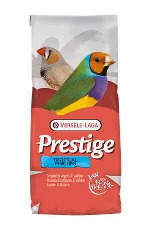 VL-Australian Waxbills-Astryldy Australijskie 20kg