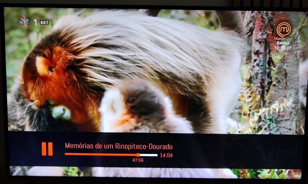 TV LG 42 polegadas Smart TV 4K