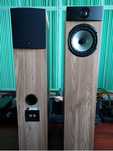 Акустика напольная Fyne Audio (Tannoy) F302