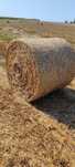 Sloma w belach 120/120