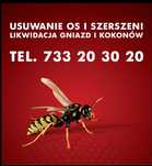 Usuwanie Gniazd Os i Szerszeni Częstochowa