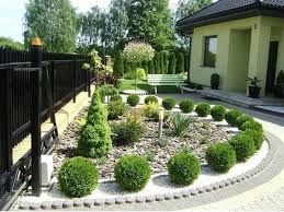 Шаровидна туя Даніка (міріам, Селена,Тінітім,Тедд,боулінг бол)і,)