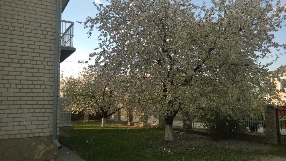 Продаю будинок   .