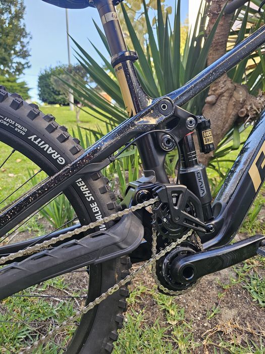 Pivot phenix 2025