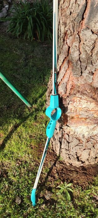 Arco desportivo criança