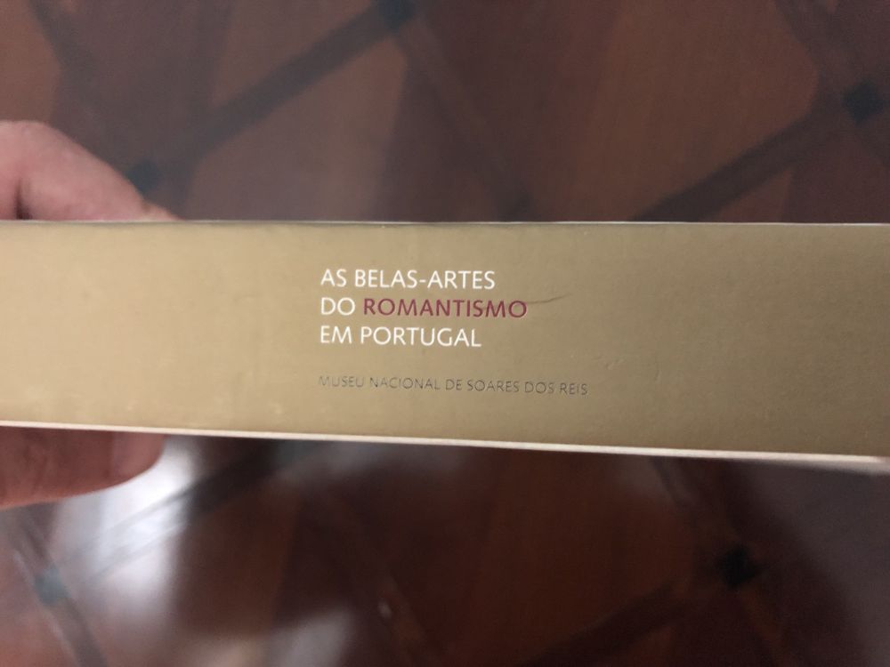 As Belas-Artes do Romantismo em Portugal