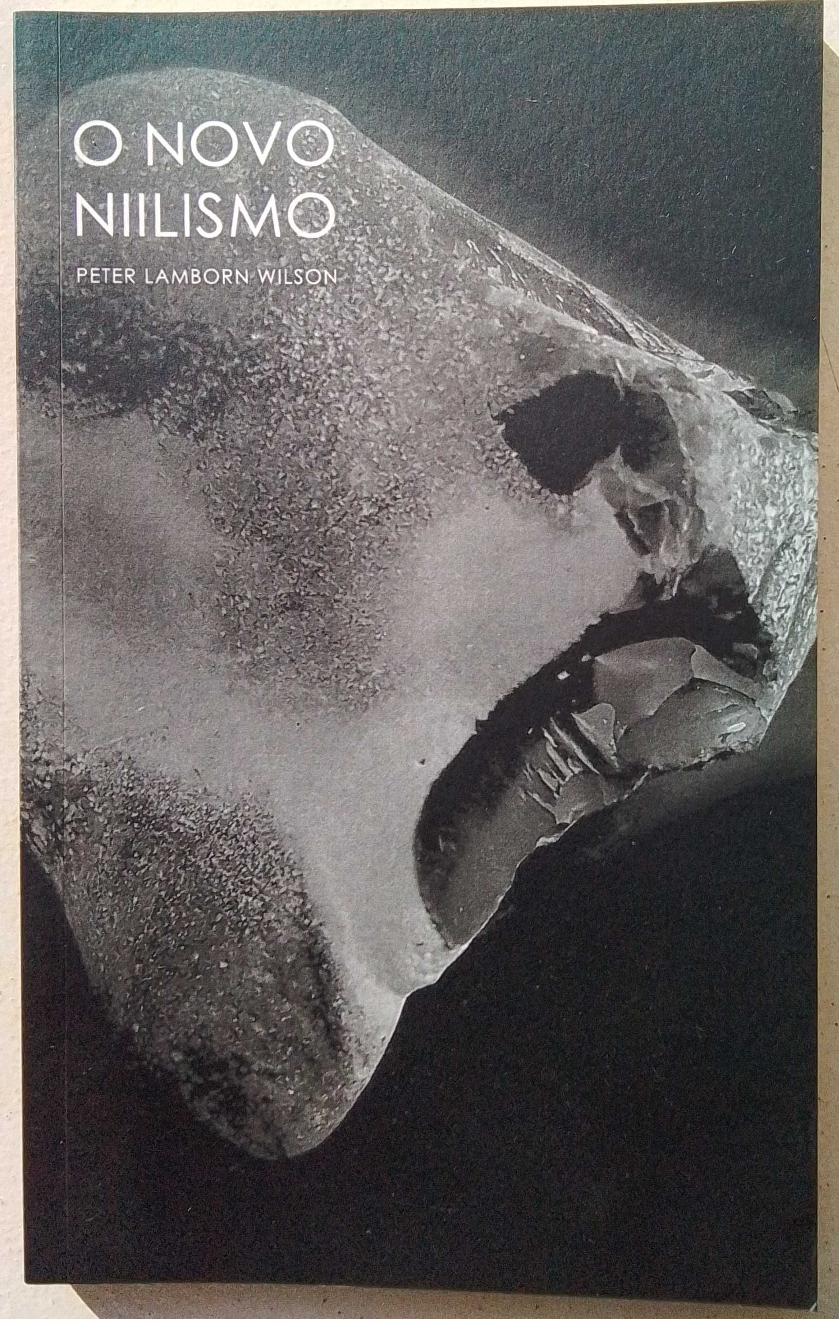 «O novo niilismo», de Peter Lamborn Wilson