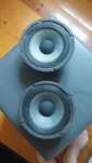 Colunas/Woofers 16cm Sony