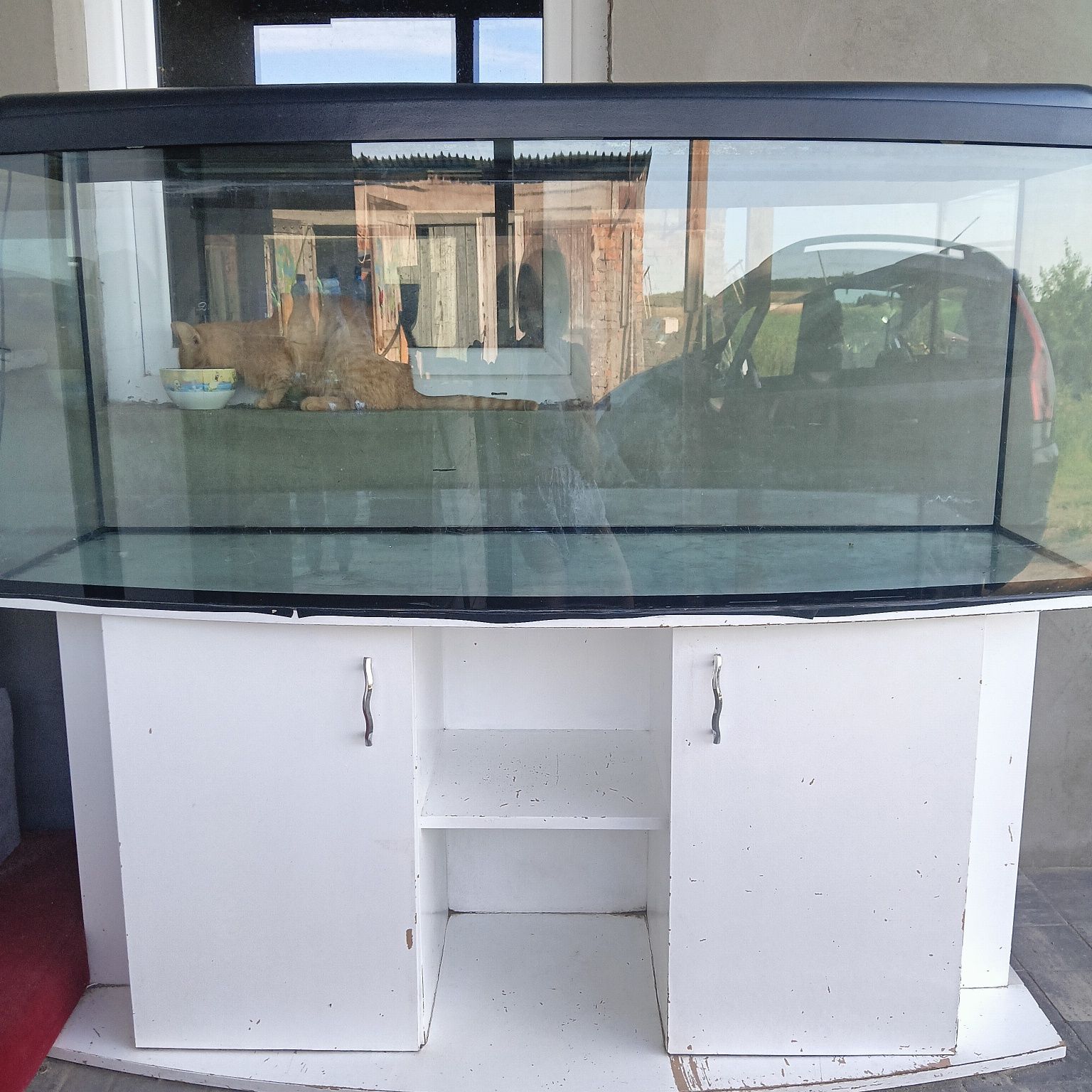 Akwarium panoramiczne 450l