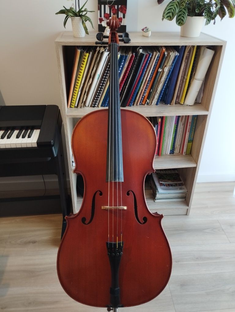 WIOLONCZELA 4/4 niemiecka manufaktura, opinia konserwatorska