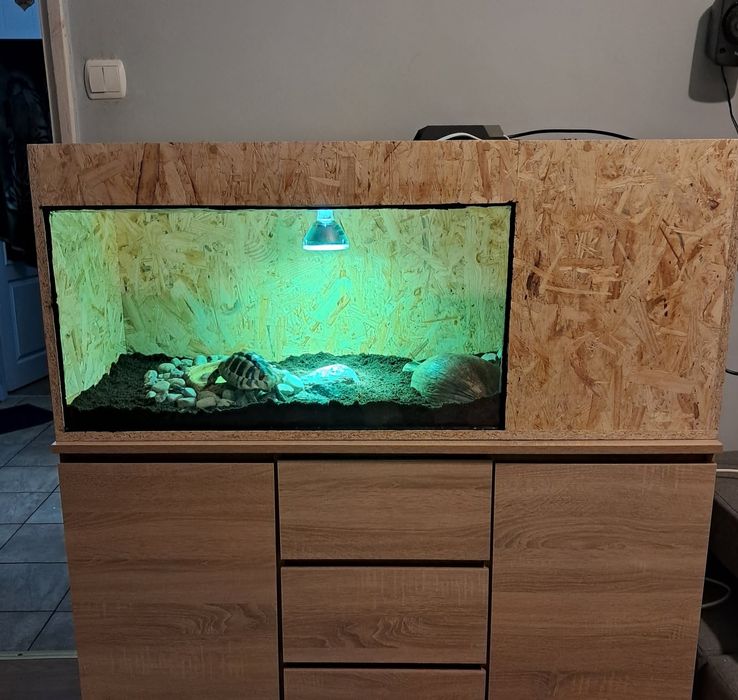 Terrarium I Żółwie