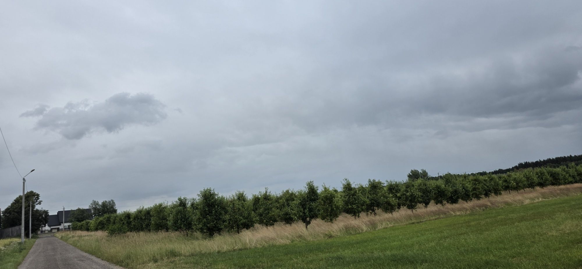 Działka z WZ. Możliwośc budowy.