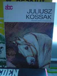 Juliusz Kossak , seria abc.