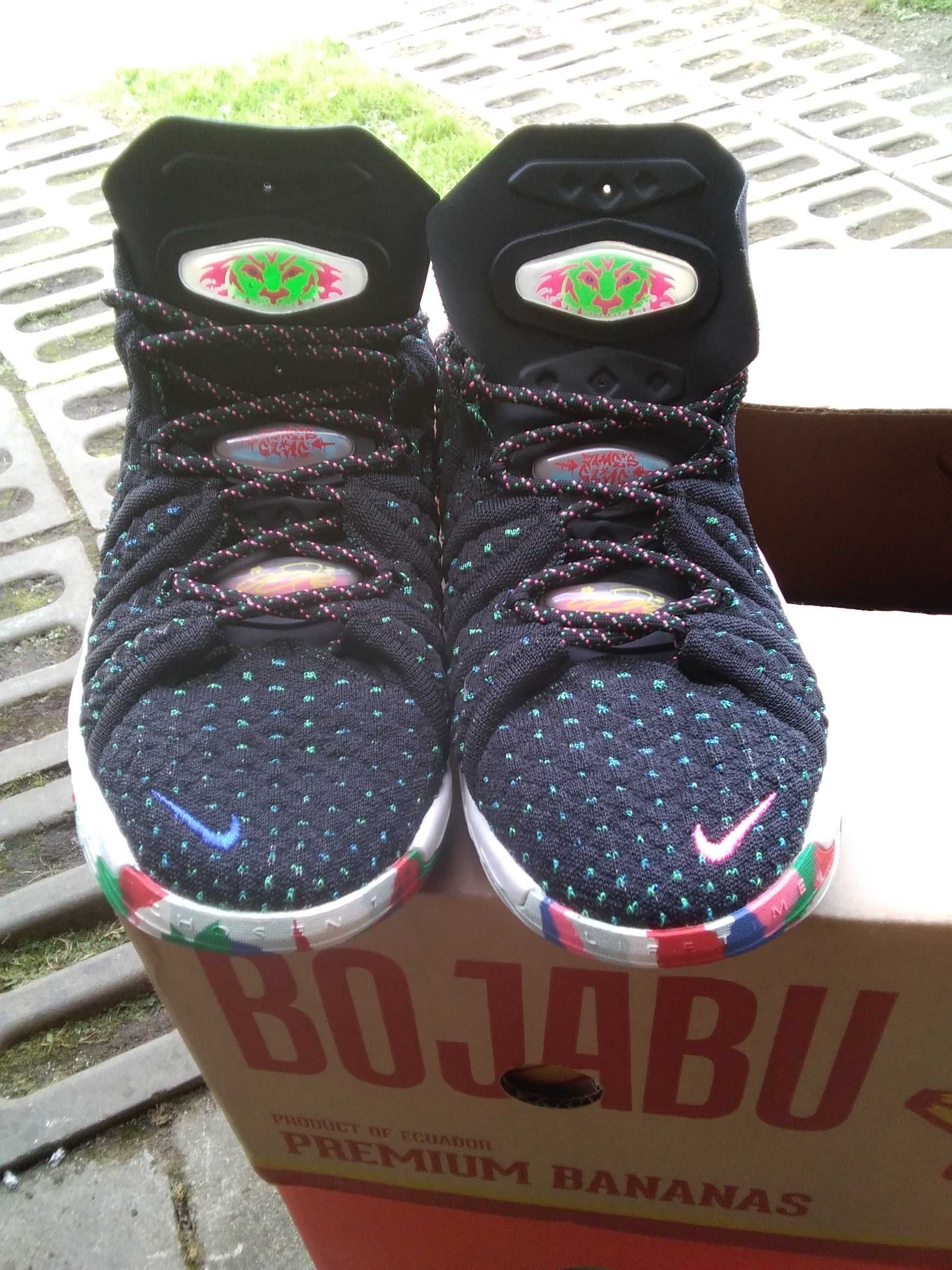 Nike LeBron 18 James