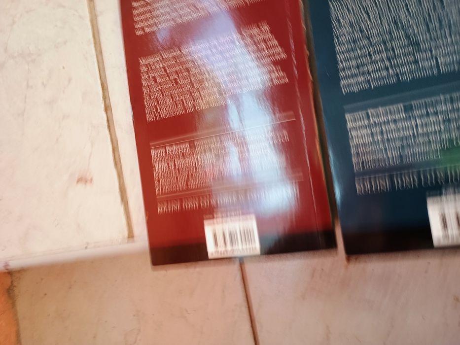 Saga, Róża Znad Fiordów