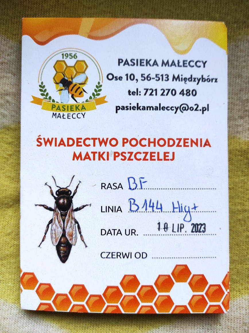 Rodziny pszczele z ulami 10 i 12-ramkowe-wielkopolskie