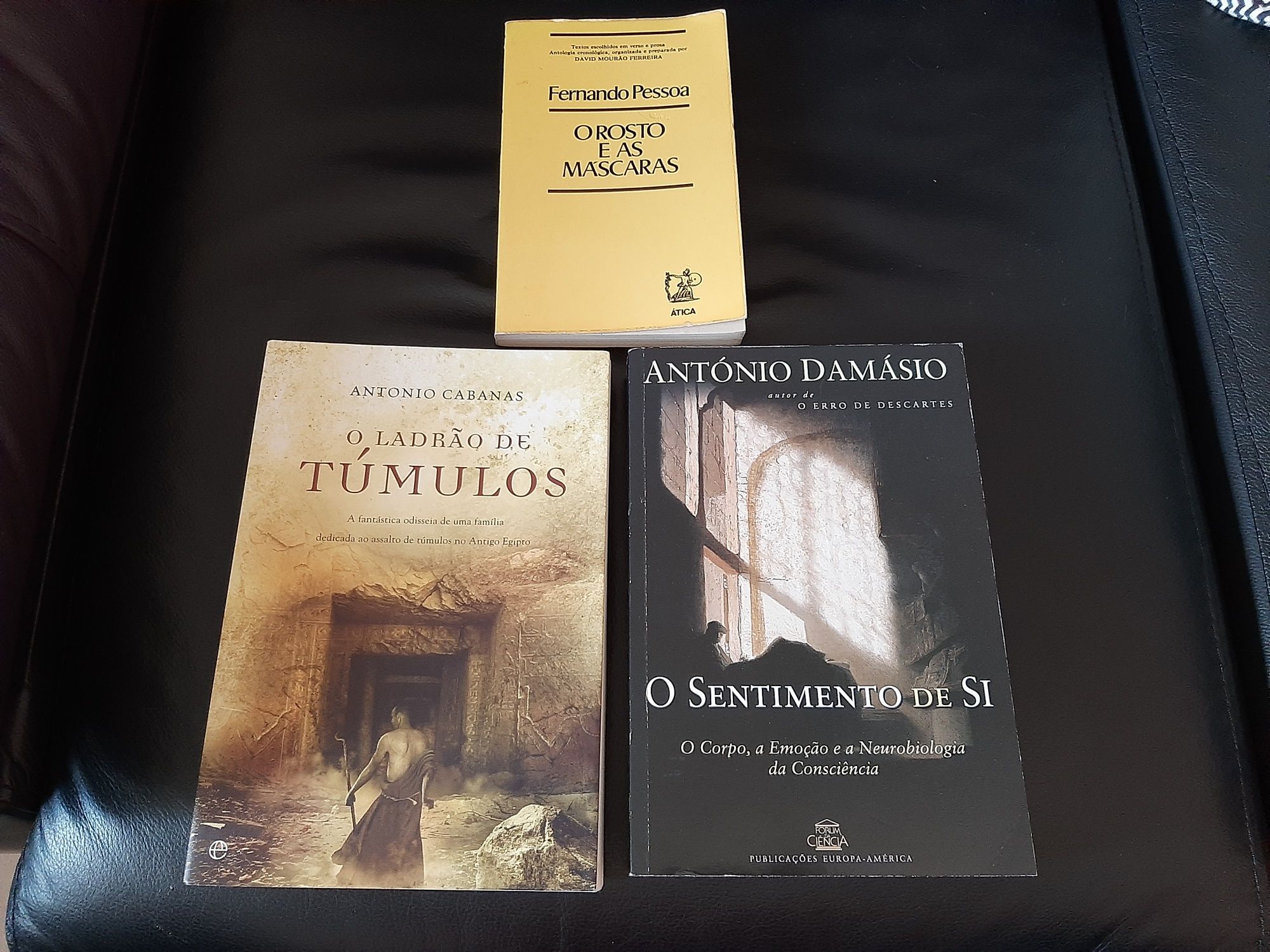 António Damásio  Cabanas sentimentos Fernando Pessoa Rosto e máscaras