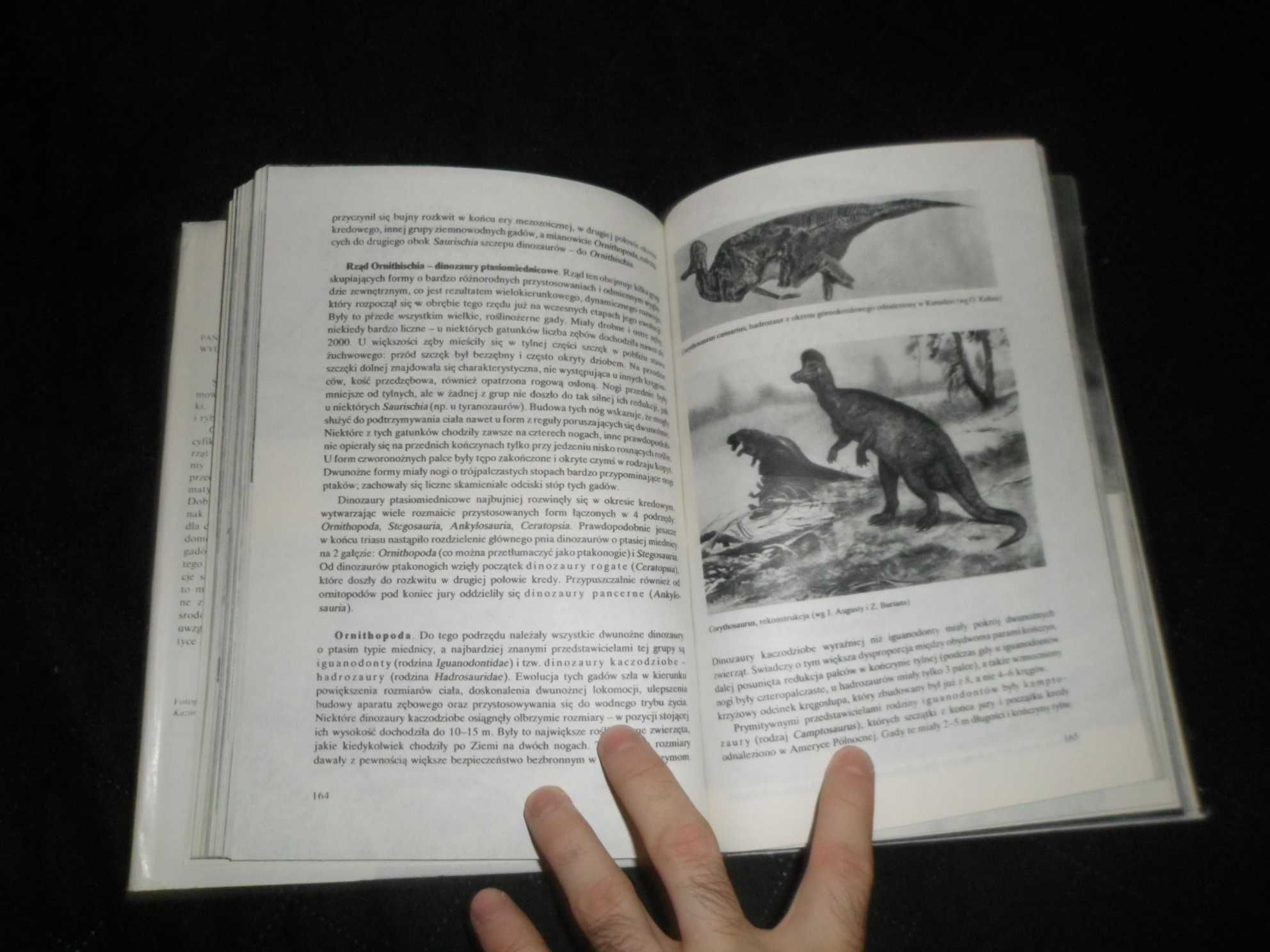 Gady [zwierzęta świata ]  - Hanna Dobrowolska