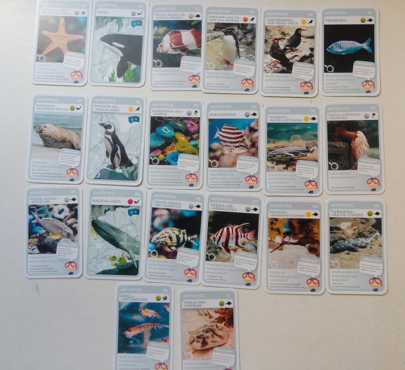 Cartas Super animais e Desportos.