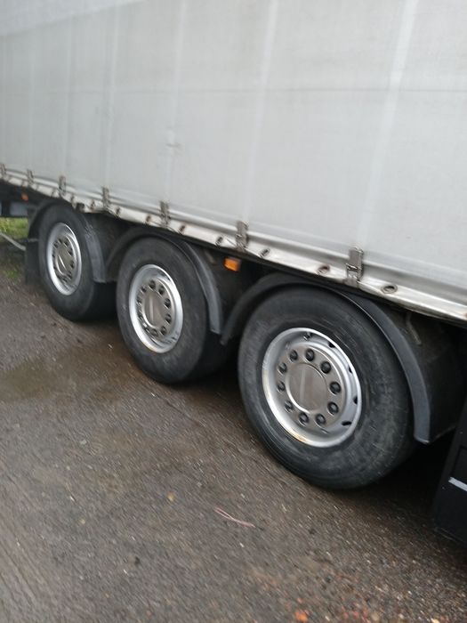 Schvarzmuller 2010 рік