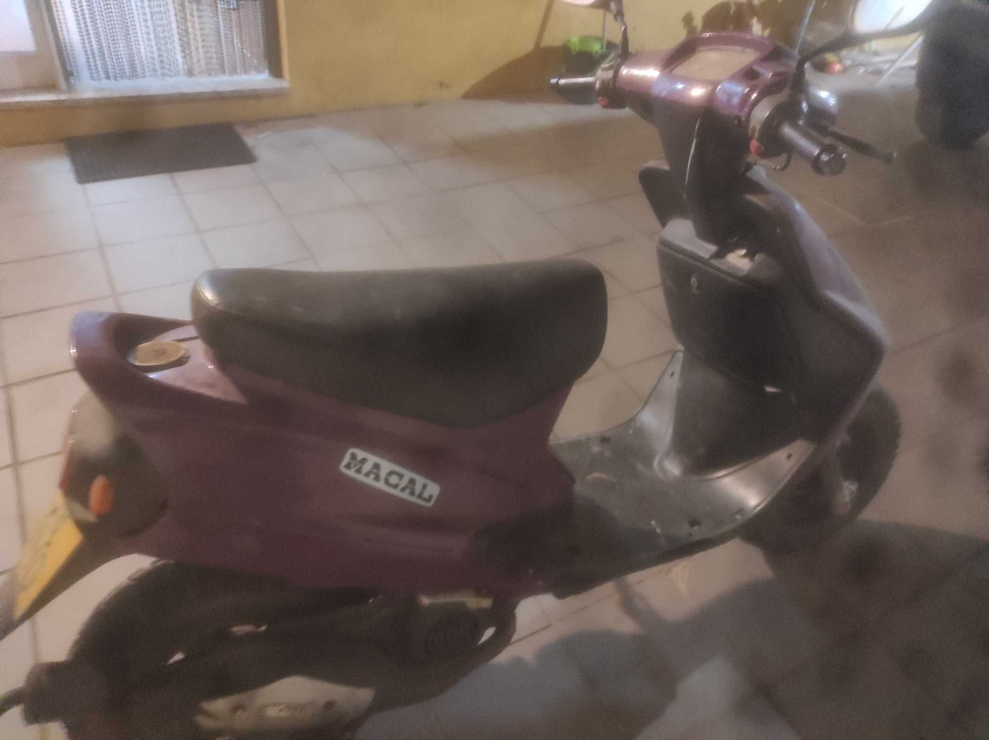 Macal thunder para venda